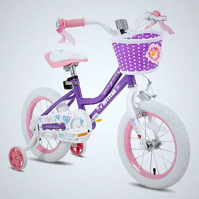JOYSTAR 14" Girls Bike Training Wheels Purple