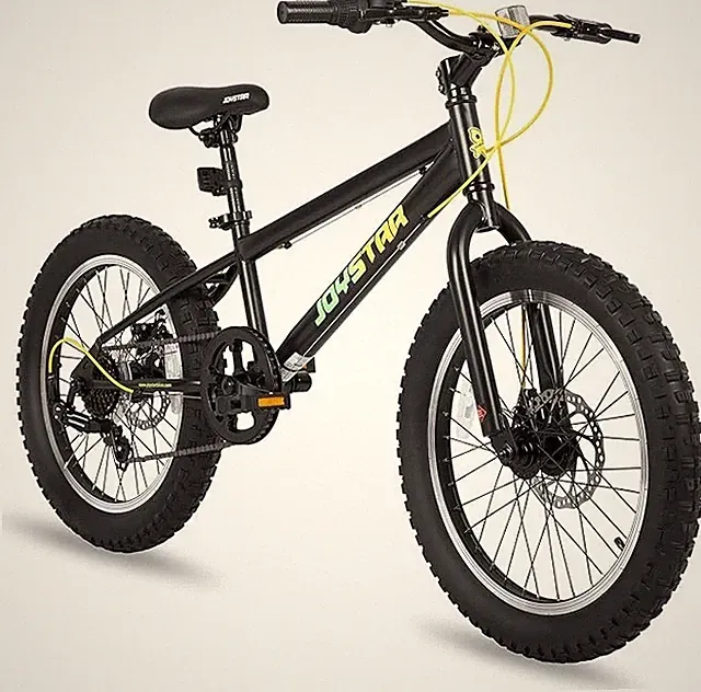 JOYSTAR 20 Inch Mountain Bike For Kids Ages 7-12 Year