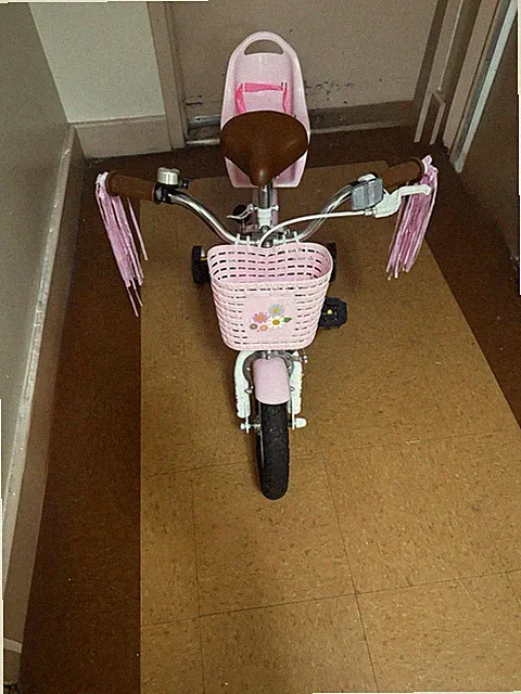 Joystar Little Daisy Kids Bike 12inch White Bike
