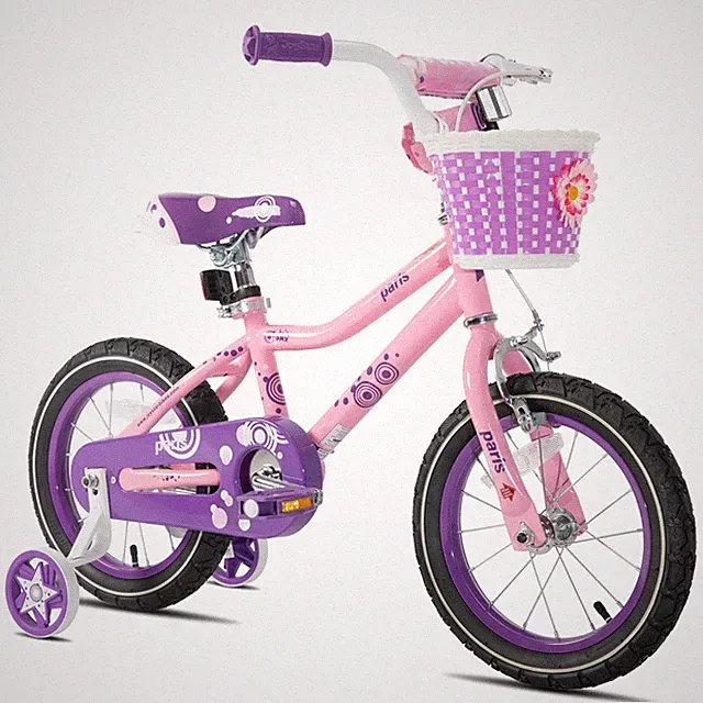 JOYSTAR Paris Girls Bike for Ages 3-8 Years Old, 14 16 18 Inch Kids Bike with...
