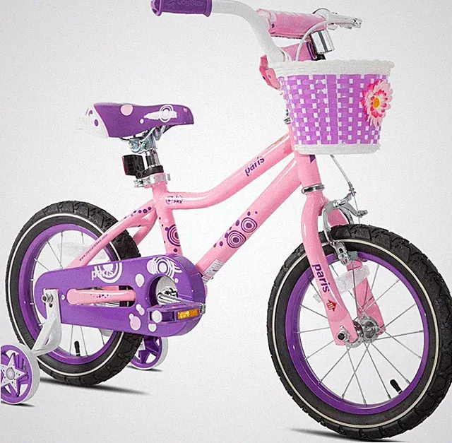 JOYSTAR Paris Girls Bike for Ages 3-8 Years Old, 14 16 18 Inch Kids Bike with Tr