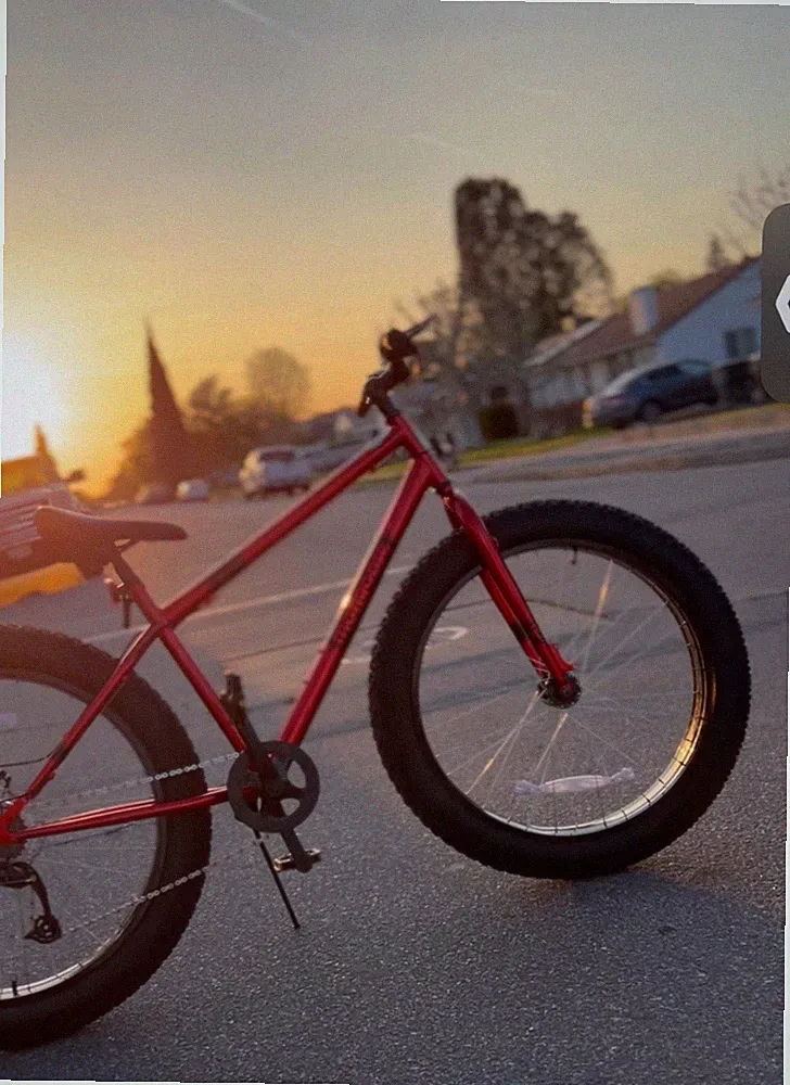 JOYSTAR Fat Tire Bike